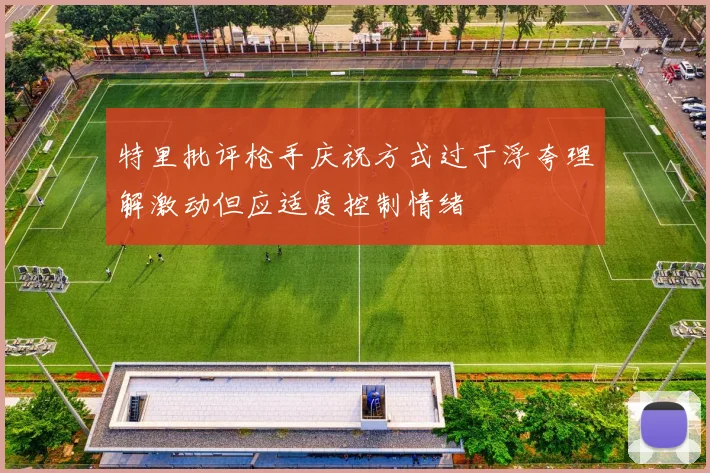 特里批评枪手庆祝方式过于浮夸理解激动但应适度控制情绪